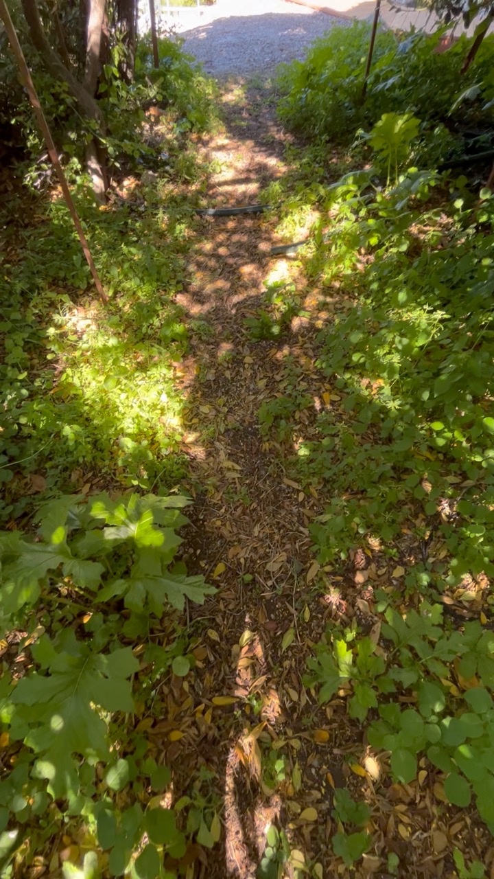 Chantier Roucas - Photo 13